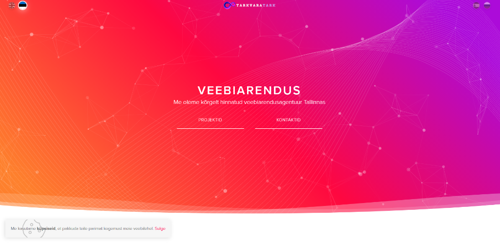 Tarkvaratark Web Development